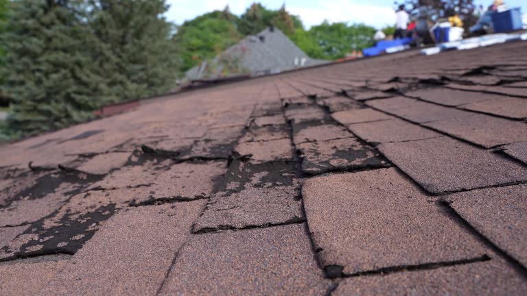 Best Emergency Roof Repair Services  in Grafton, WV