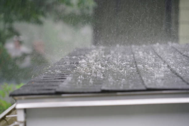 Best Sheet Metal Roofing  in Grafton, WV