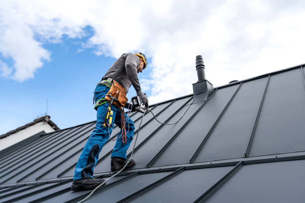 Best Roof Coating and Sealing  in Grafton, WV